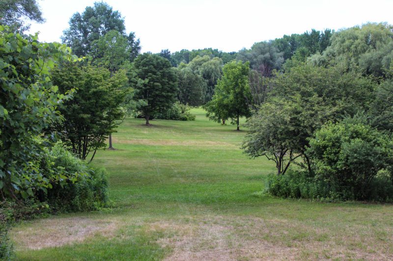 Garnsey Road Arboretum