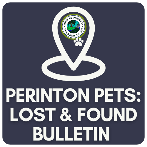perinton pets v4 1